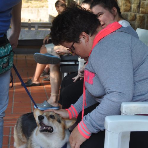 obnovitvena-rehabilitacija-bb-scaled