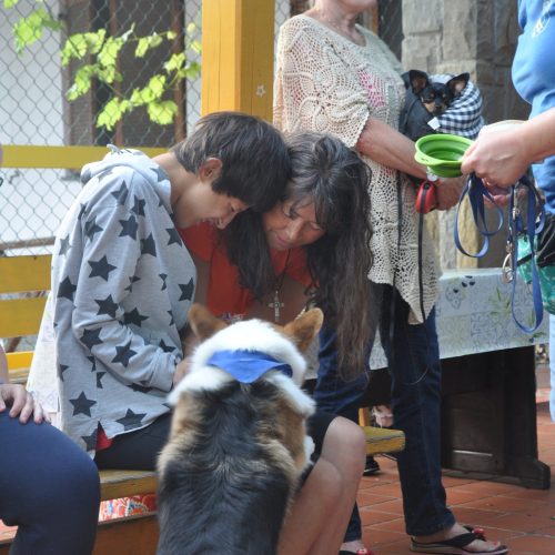 obnovitvena-rehabilitacijaas-scaled