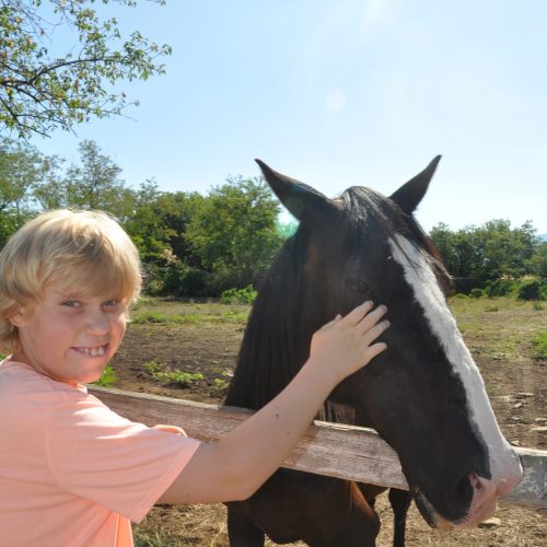 terapevtska-kolonija3-scaled