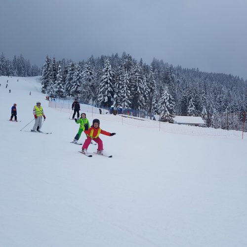 terapevtsko smučanje